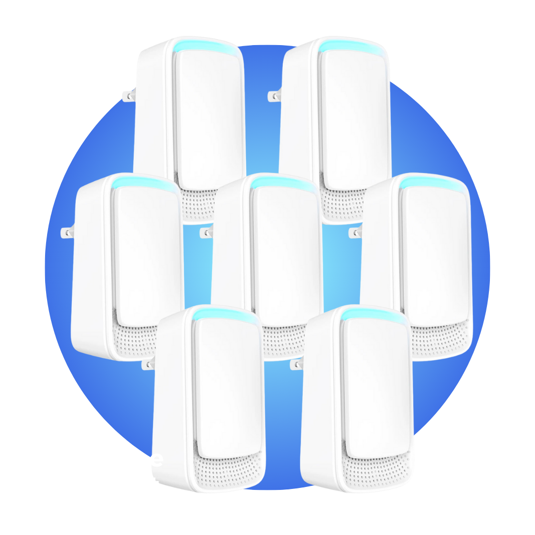 Aseere | EU Plug