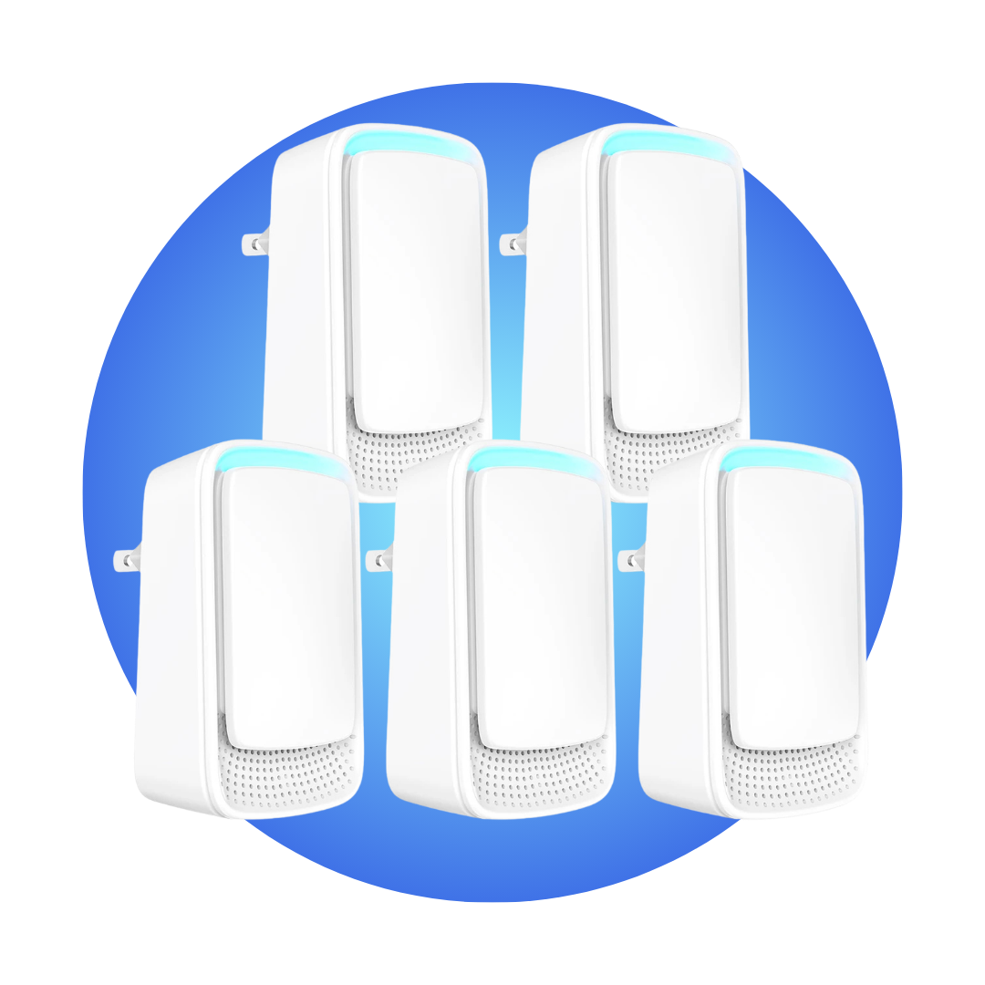 Aseere | EU Plug