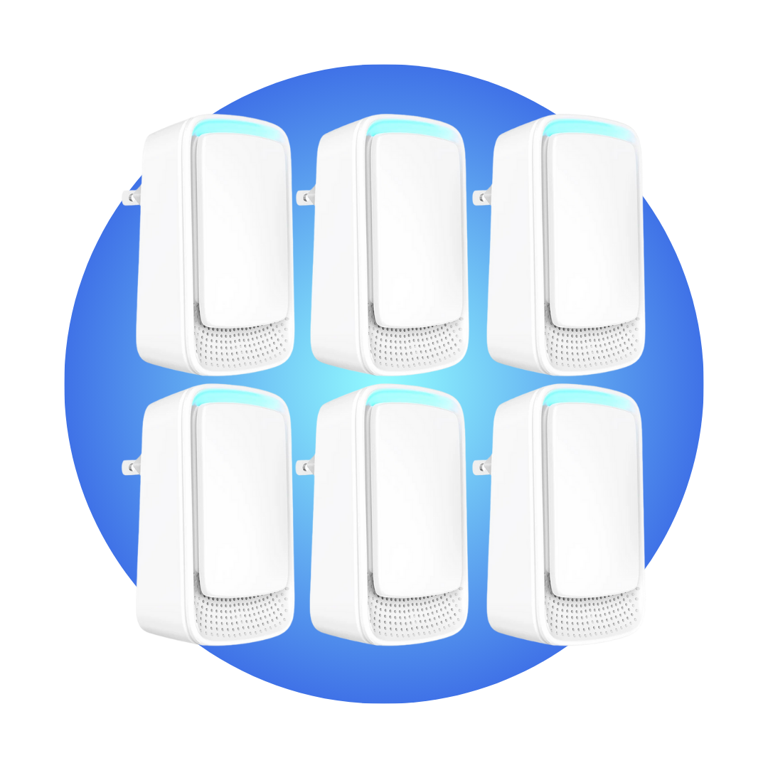 Aseere | EU Plug