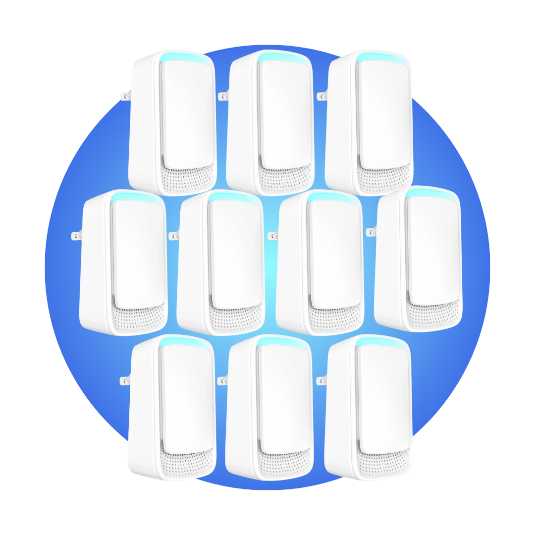 Aseere | EU Plug