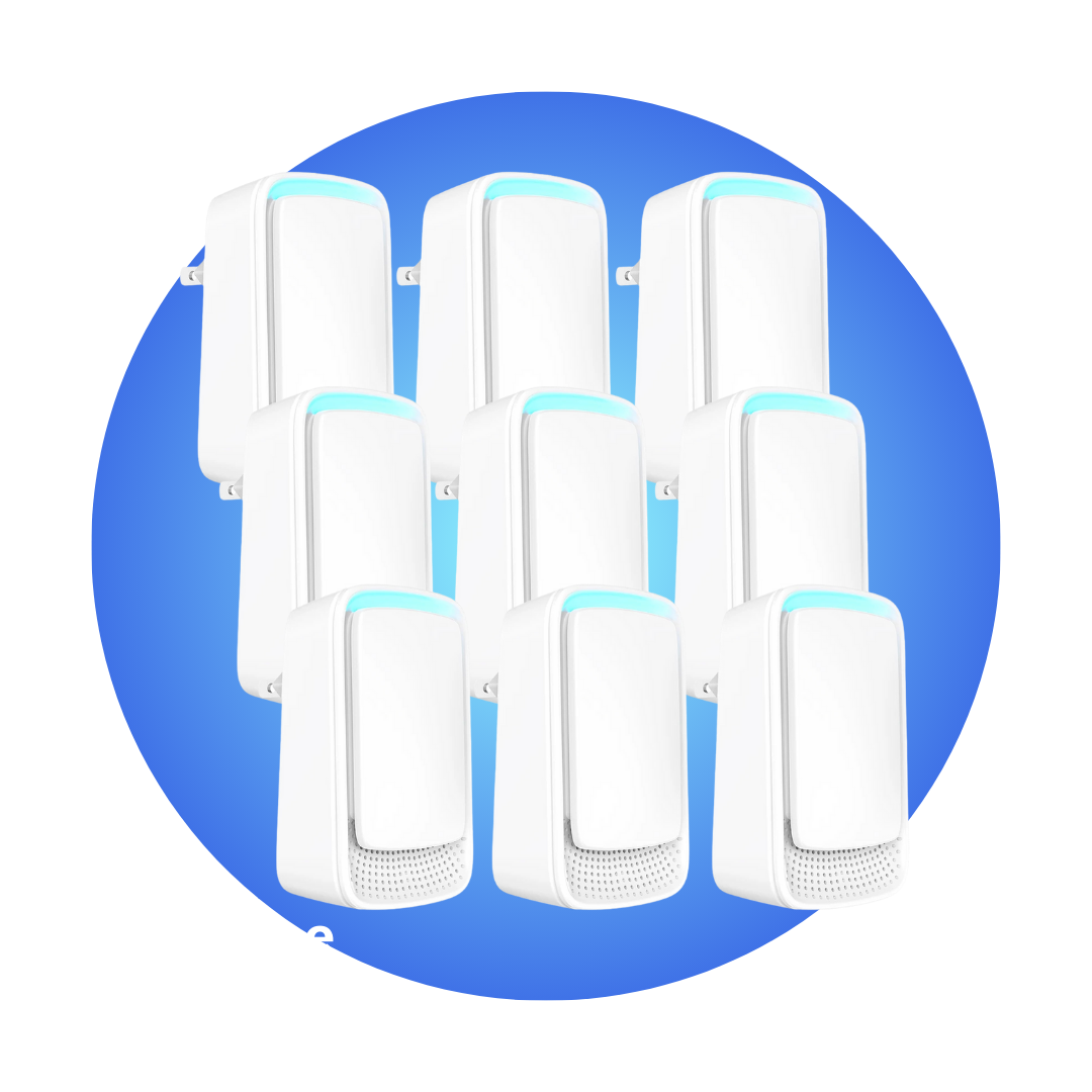 Aseere | EU Plug